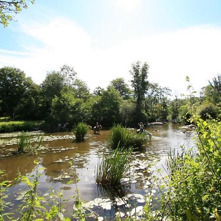 Logis De L'Aubonniere Hotel Chaille-sous-les-Ormeaux Eksteriør billede