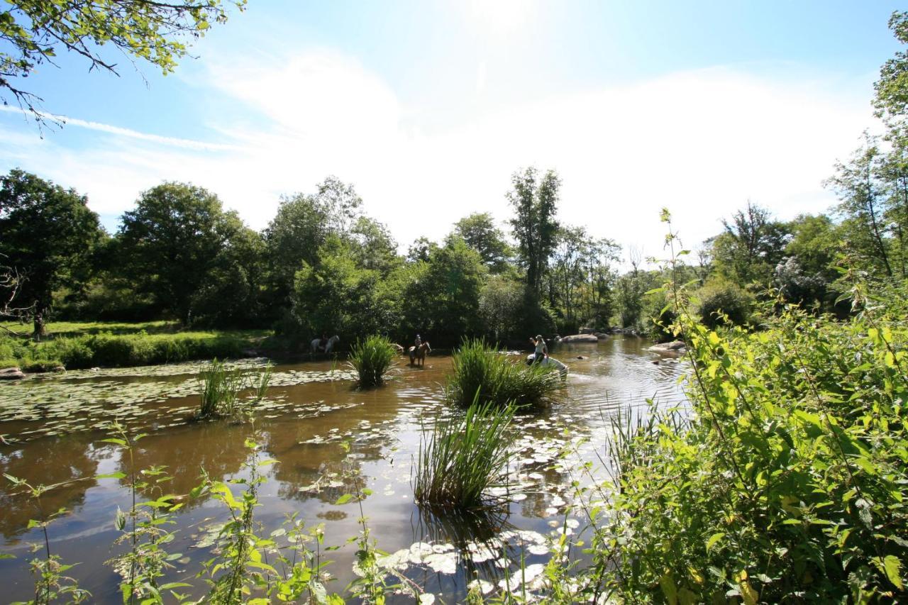 Logis De L'Aubonniere Hotel Chaille-sous-les-Ormeaux Eksteriør billede